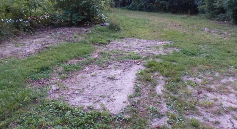 The dirt rectangles are reminders of where cars sat for years.
